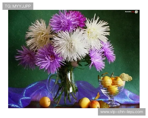 ¦ó©¨-óÂË+=¢½Ë¦¤ý¦Õ-_-²¥¦¦½¦+ί¤= ¦ó©¨-óÂË+=¢½Ë¦¤ý¦Õ-_-²¥¦¦½¦+ί¤=